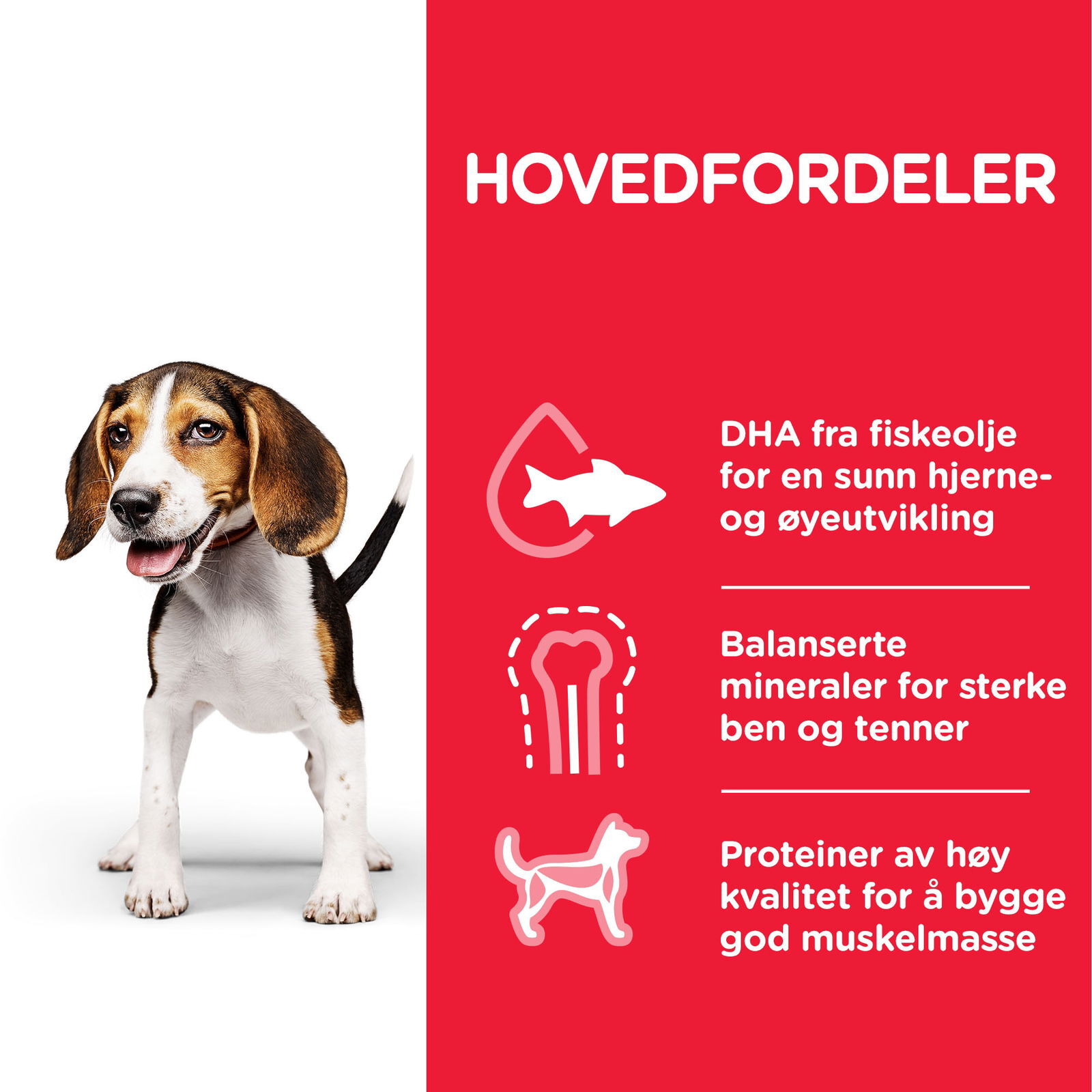 Hill's Science Plan Puppy Chicken