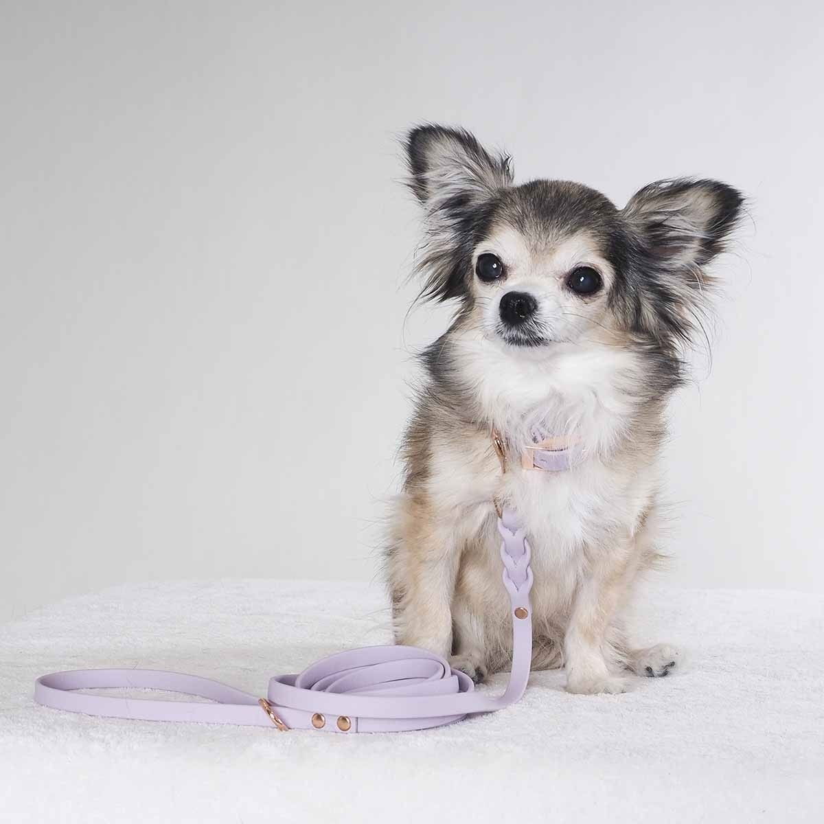 Tyylivoitto Braid leash, lavender