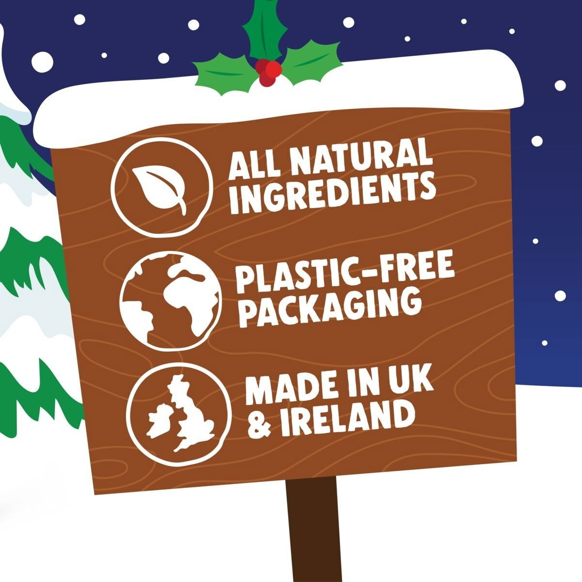 Denzel's Christmas Advent Calendar for dogs 192g