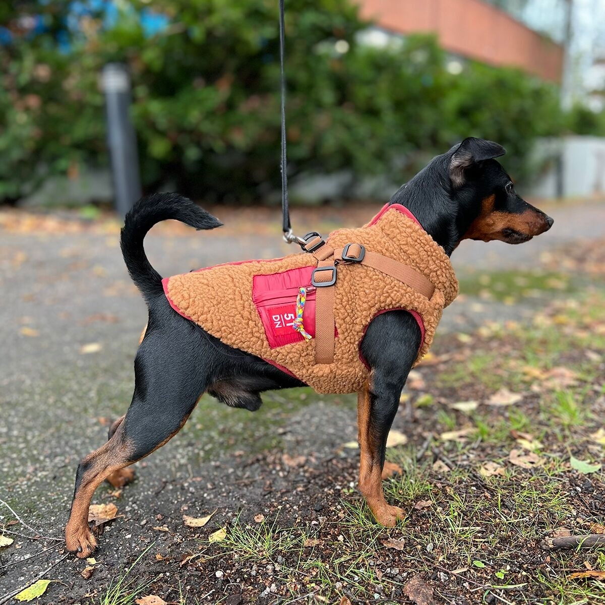 51 Degrees North Jules Harness Coat, brown