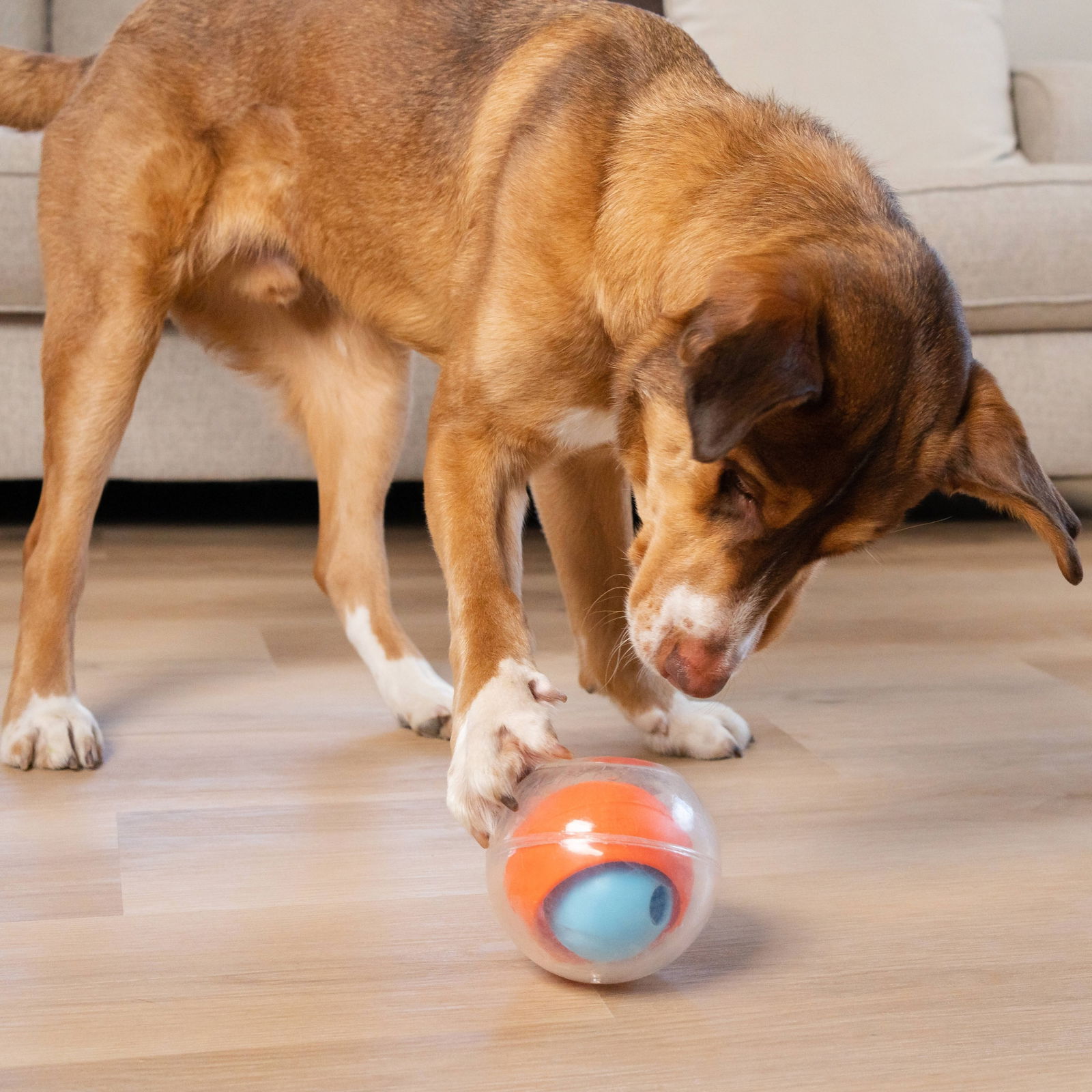 Nina Ottosson Topsy Treatball