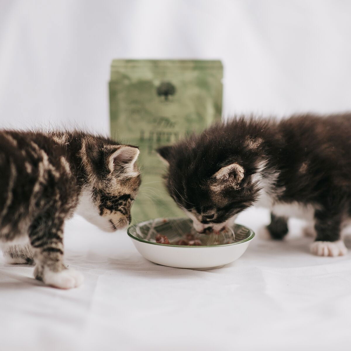 ESSENTIAL the LITTLE LION PATÉ 12x85g