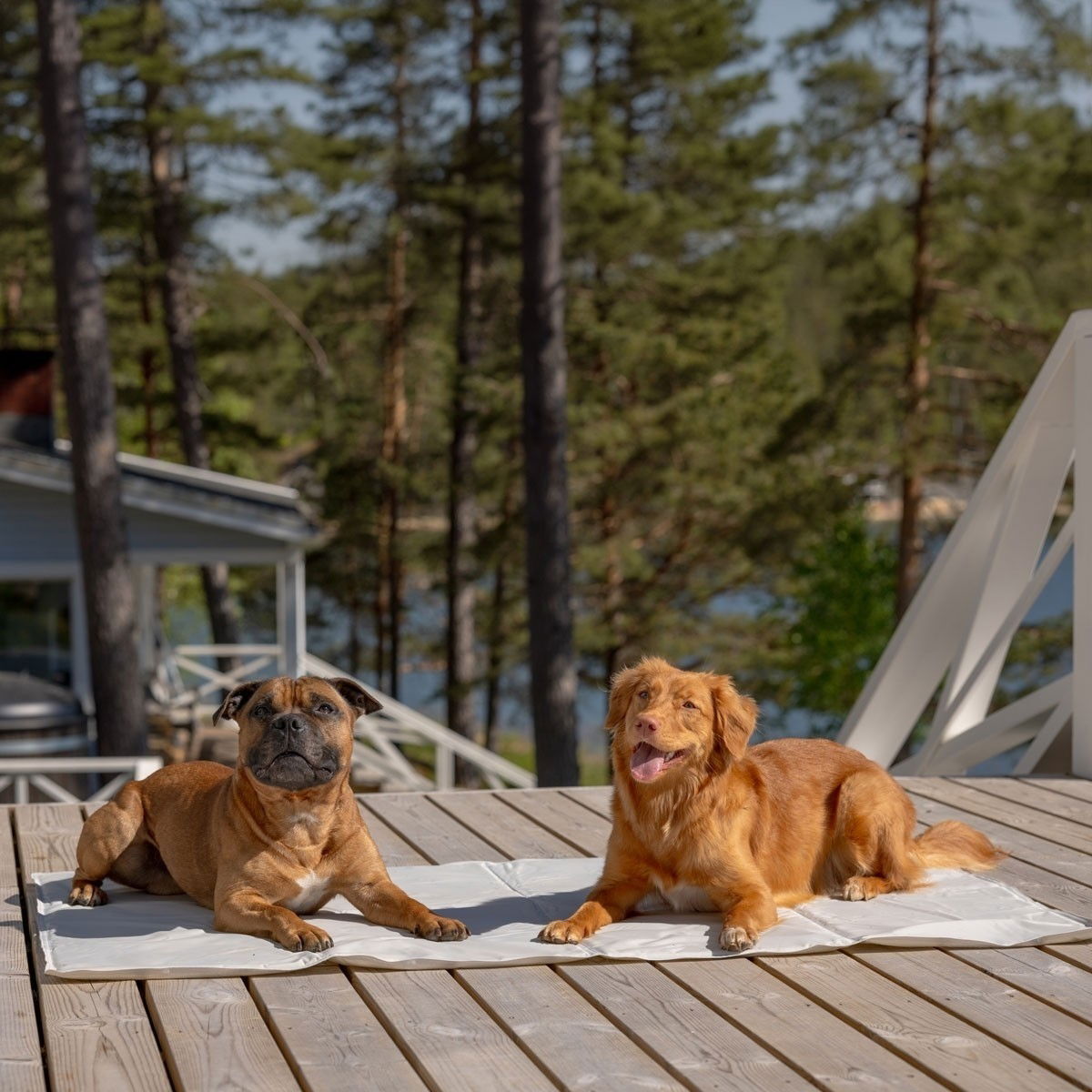 Basic Cool cooling mat antislip beige