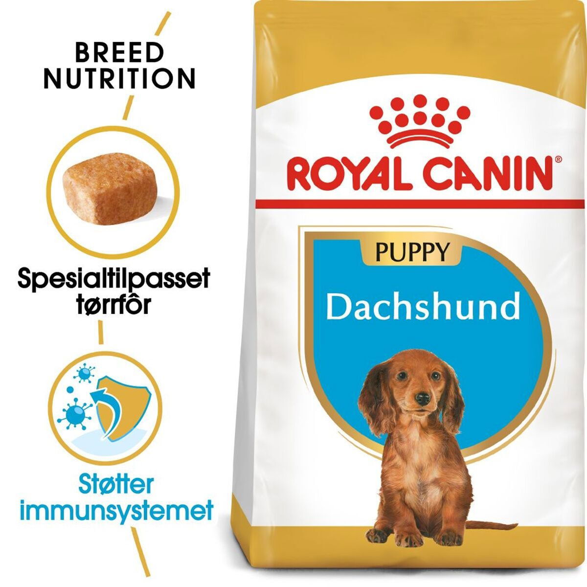 Royal Canin Dachshund Puppy tørrfôr til hundvalp