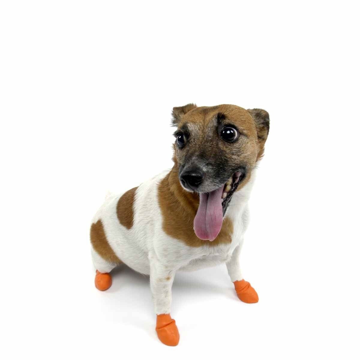 PawZ dog rubber boots color 12pcs