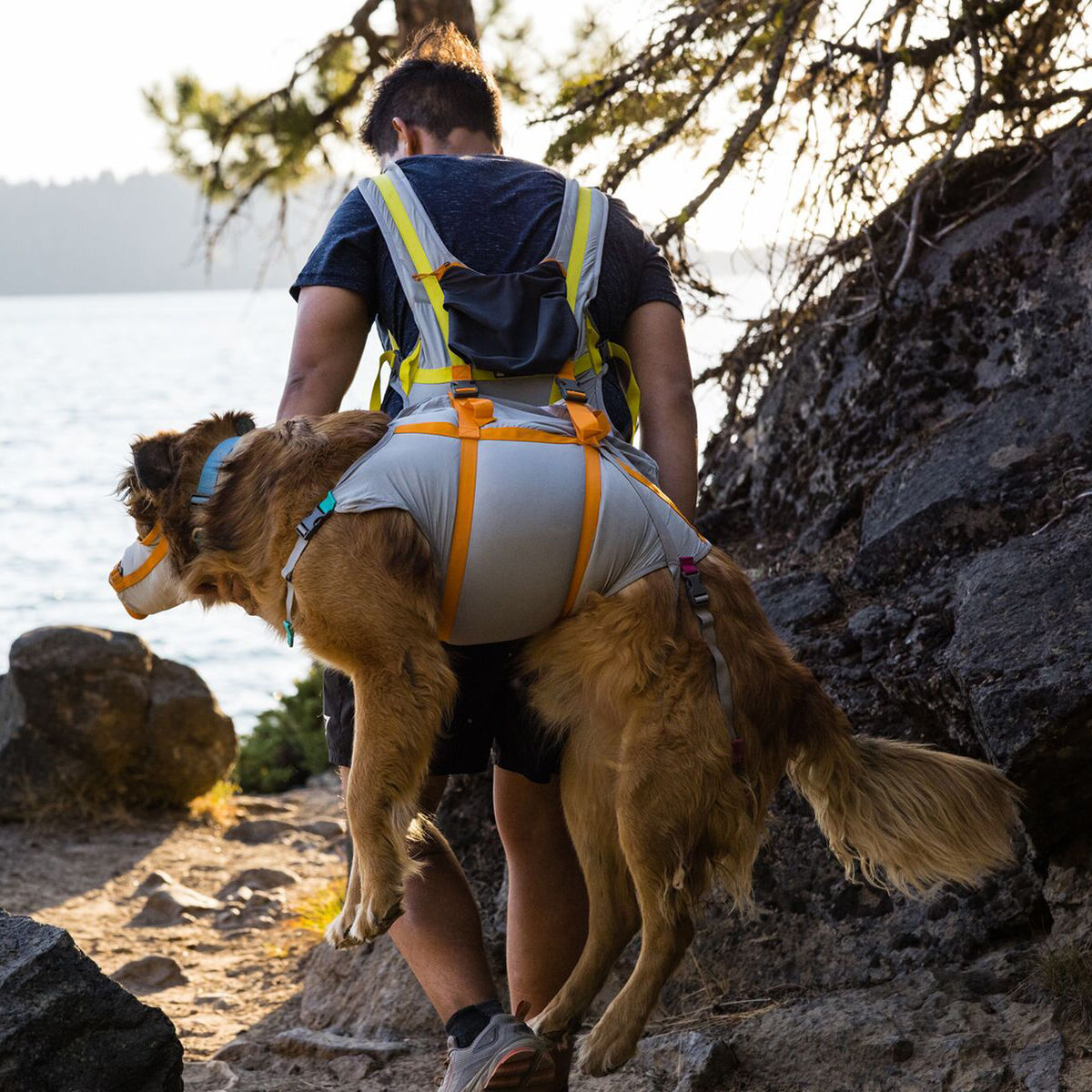 Ruffwear BackTrak Evakueringssett til Hund L - Tur med hund