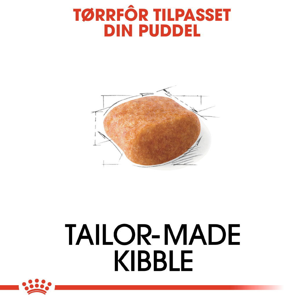Royal Canin Poodle Adult tørrfôr til hund