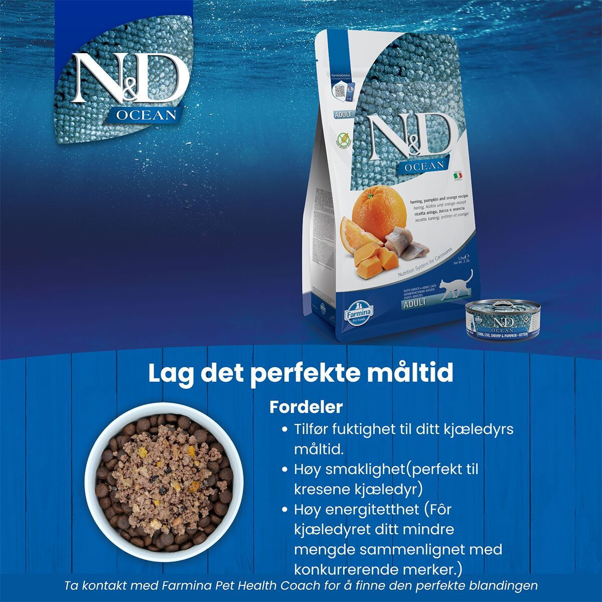 N&D Ocean Cat Herring&Pumpkin