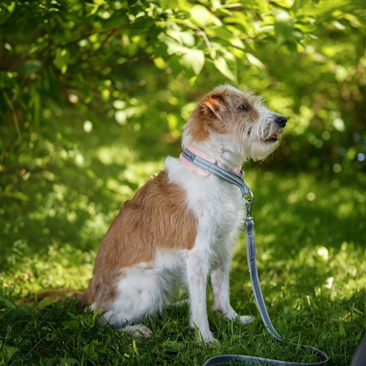 Kusse&Kutta grip leash BGB, 300cm