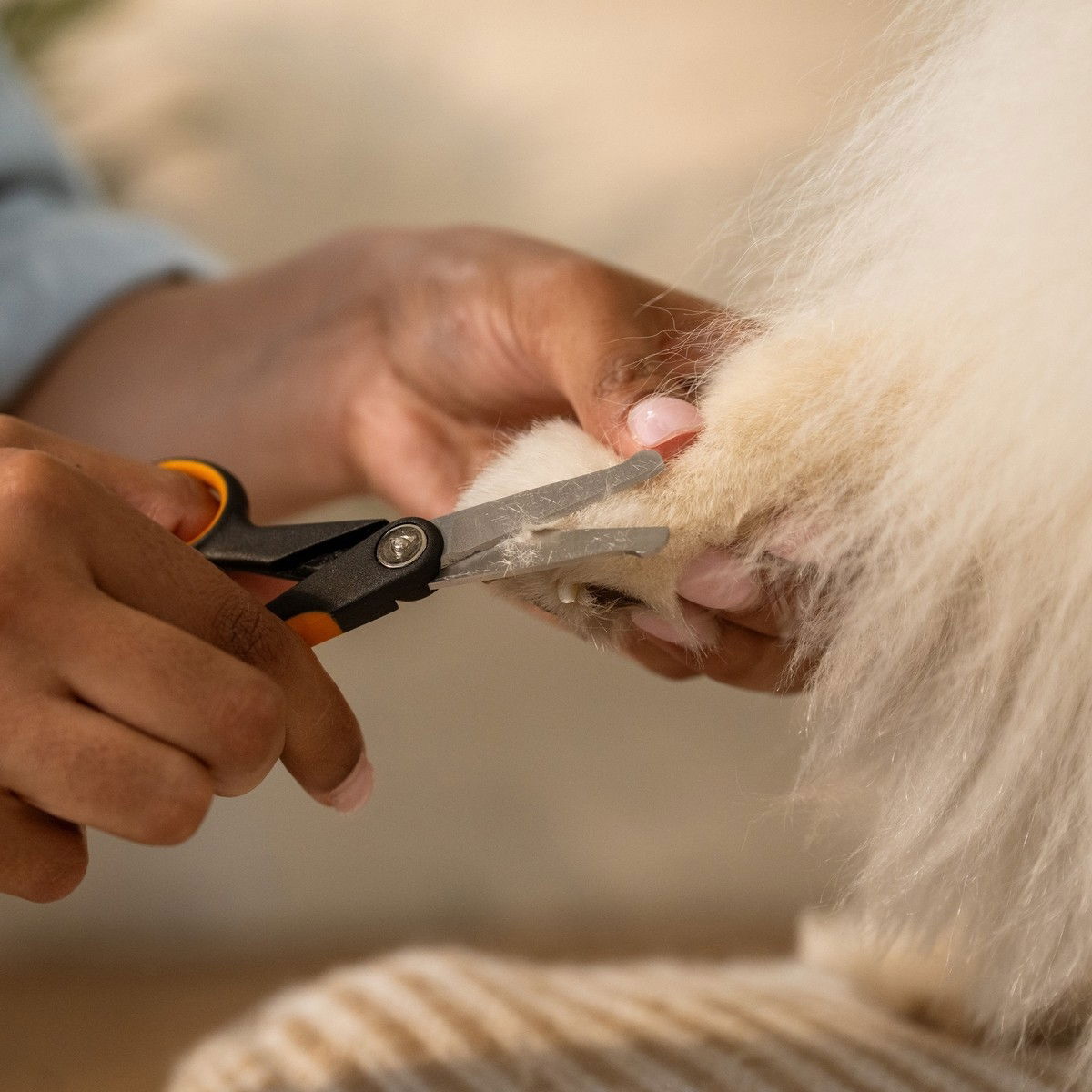 Fiskars detailing scissors