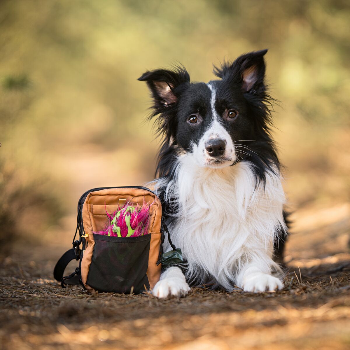 Woolly Wolf Hydration Shoulder Bag Wood Brown Mix