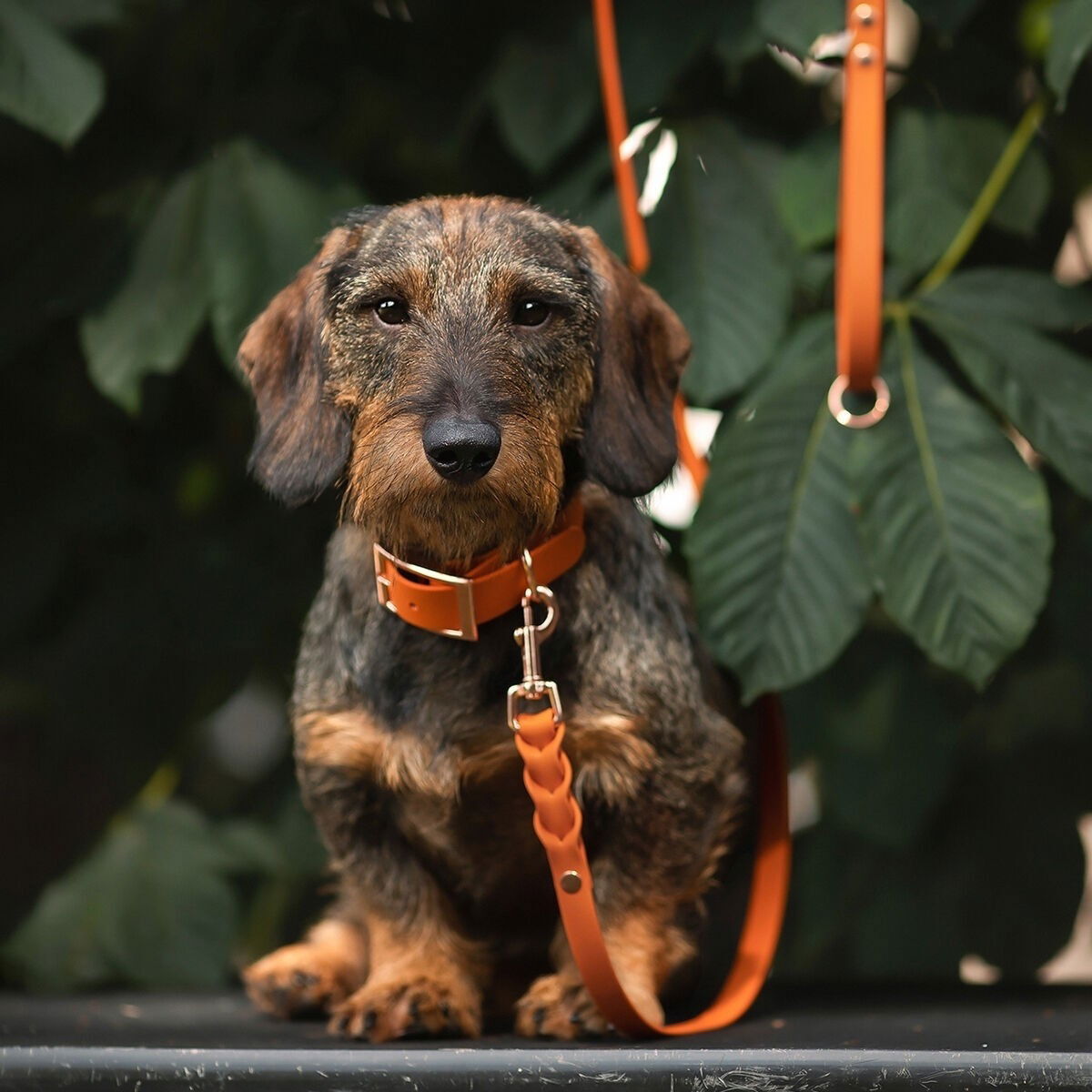 Tyylivoitto Classy collar, burnt orange