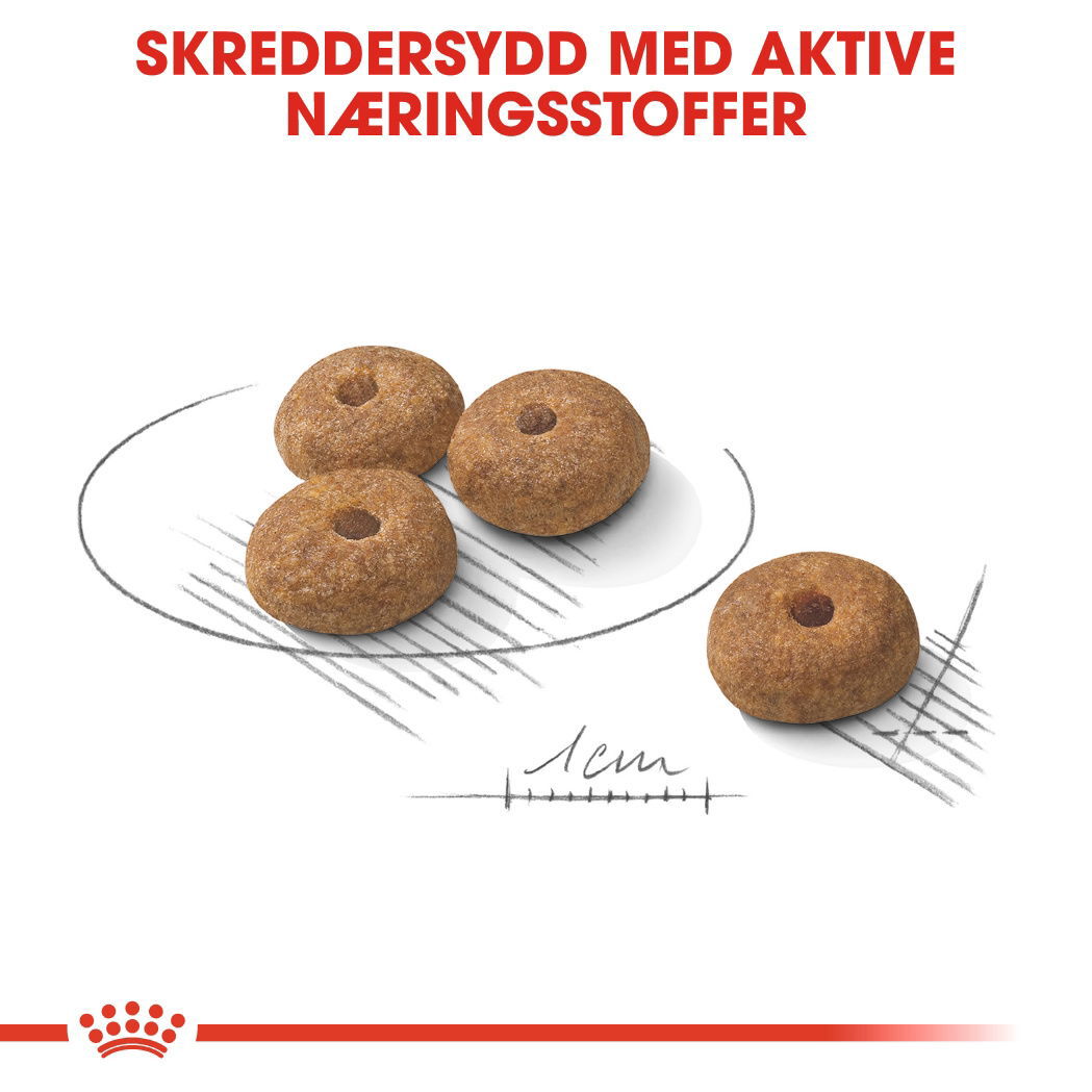 Royal Canin Mini Sterilised