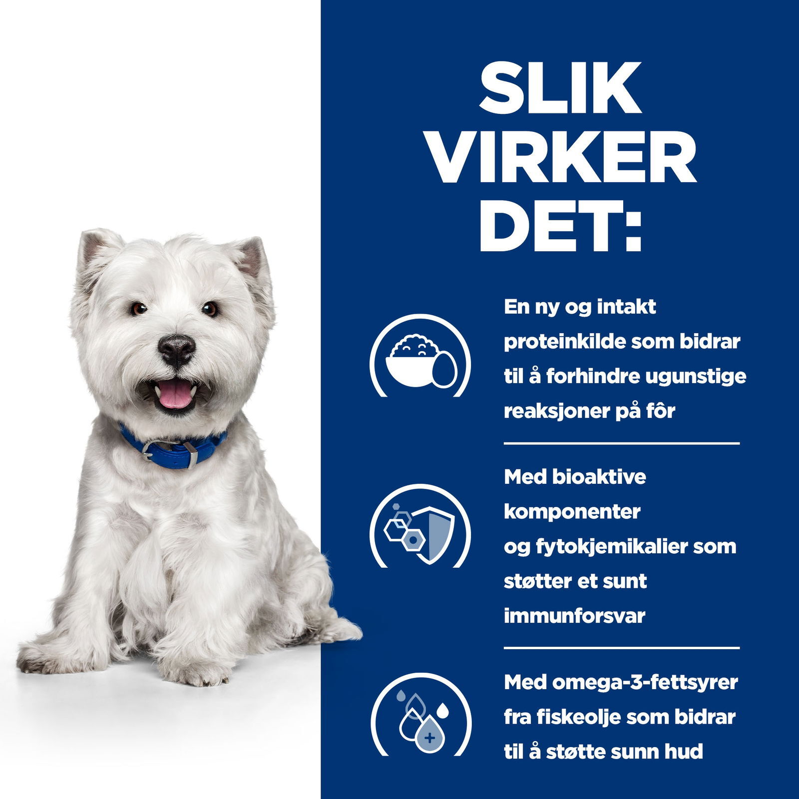 Hill's Prescription Diet Canine Derm Complete Mini 