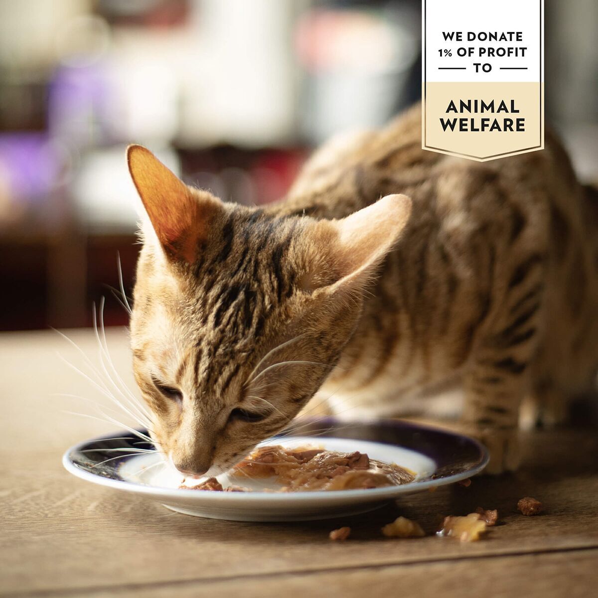 PrimaCat Classic valuepack 48x85g