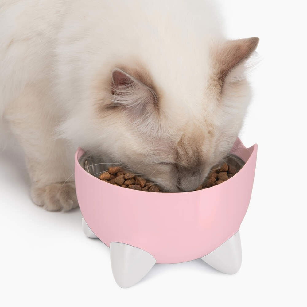 Catit Pixi Combo kit with fountain & elevated bowl pink