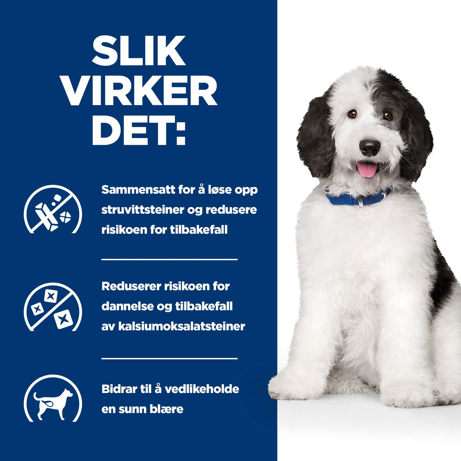 Hills Diet Dog c/d Multicare 2kg