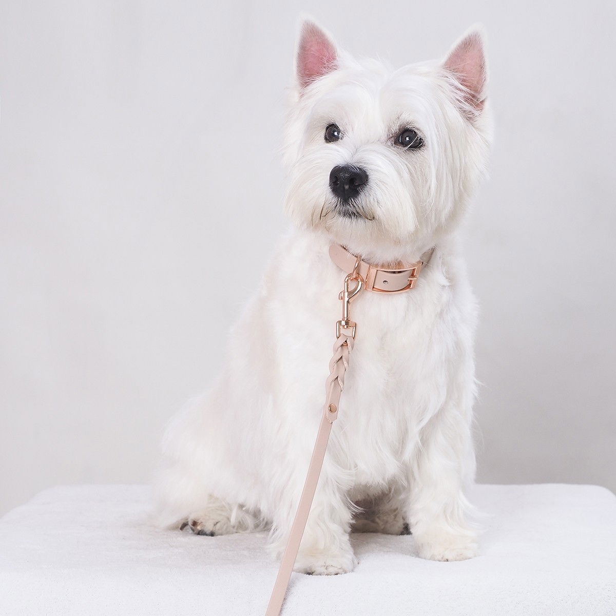 Tyylivoitto Braid leash, nude