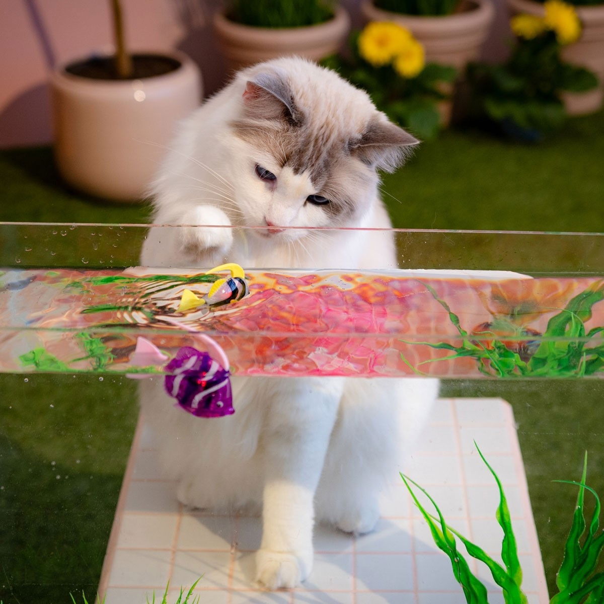 Little&Bigger Hot Summer Swimming Robot fish 2-pack