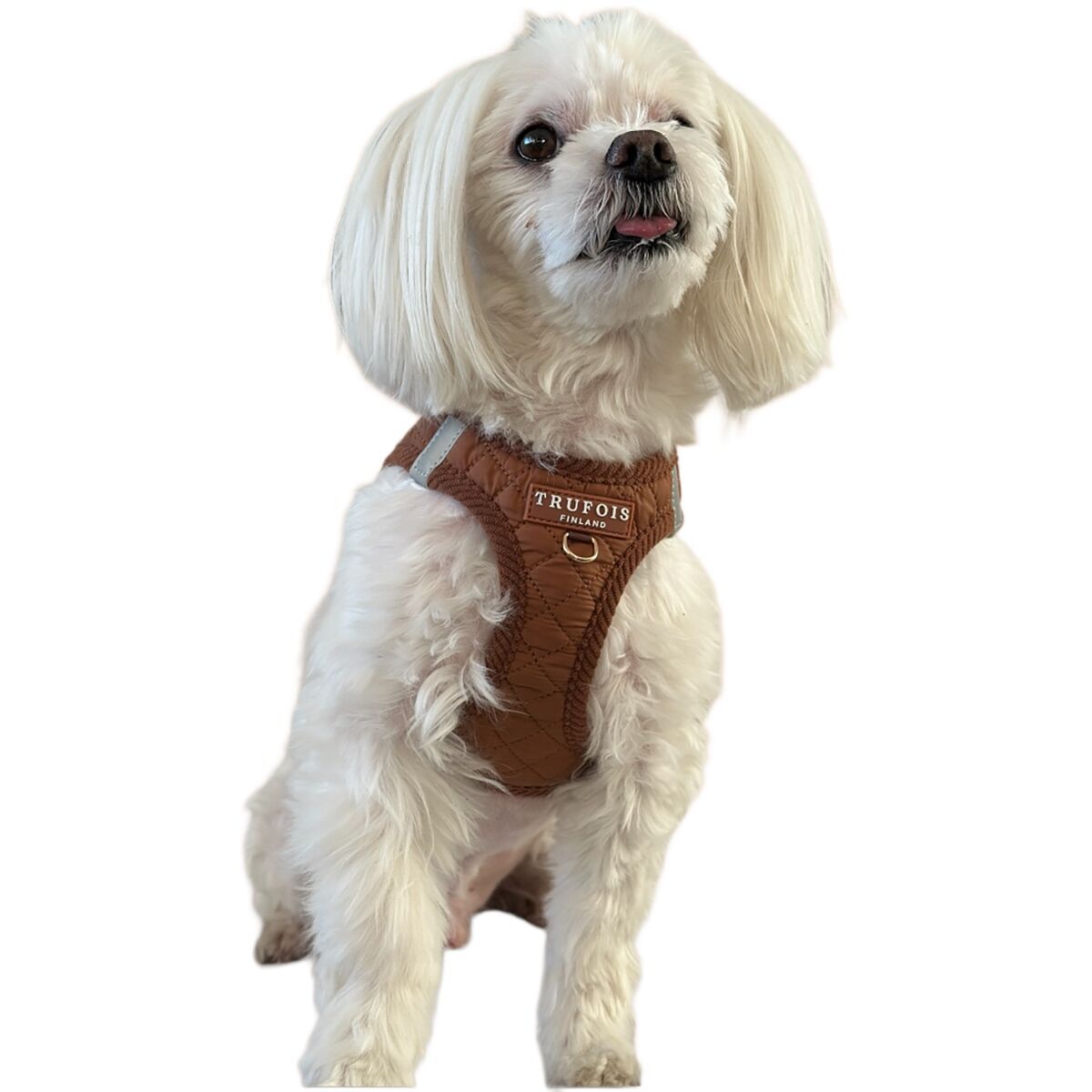 Trufois Cat Step-In Harness Macchiato Brown