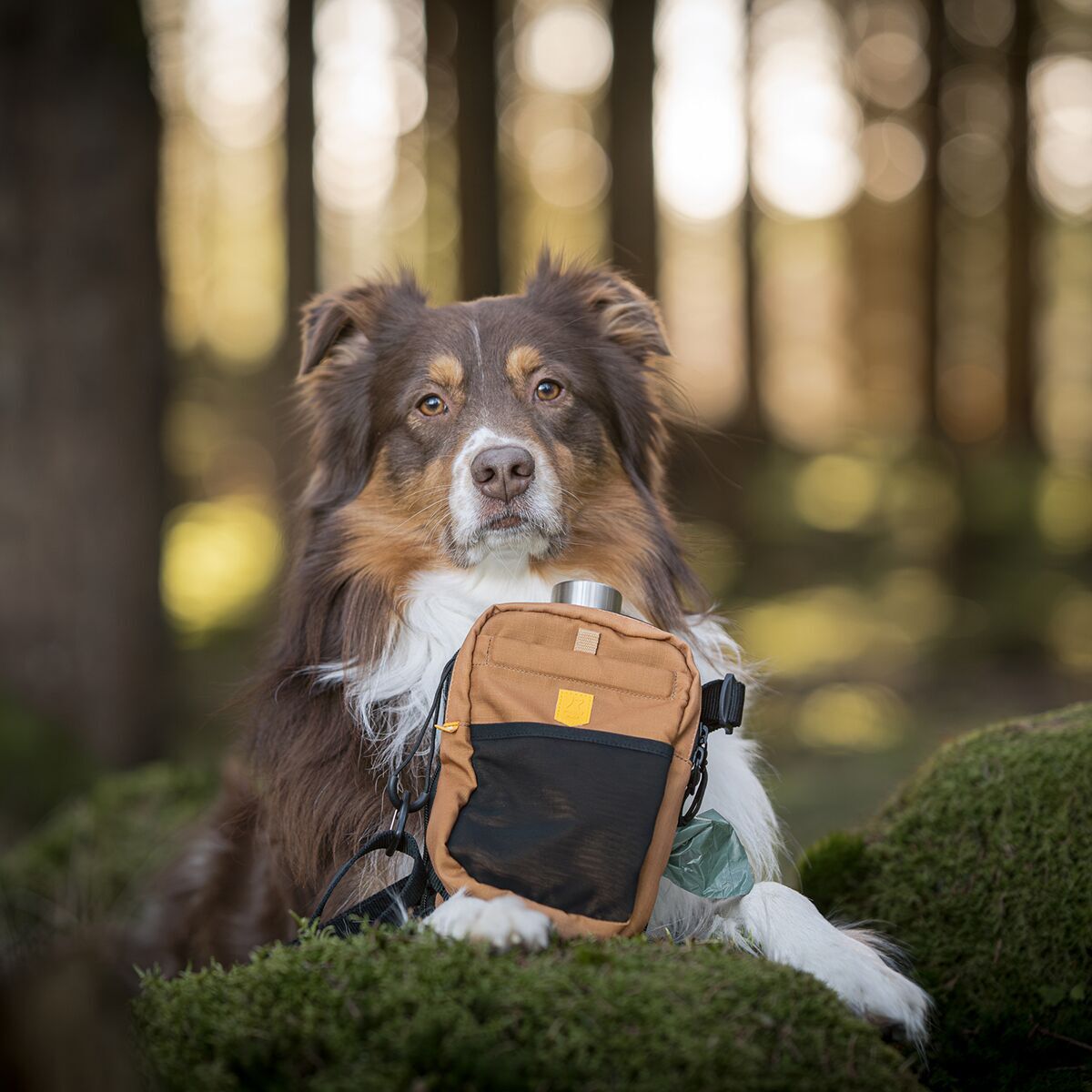 Woolly Wolf Hydration Shoulder Bag Wood Brown Mix