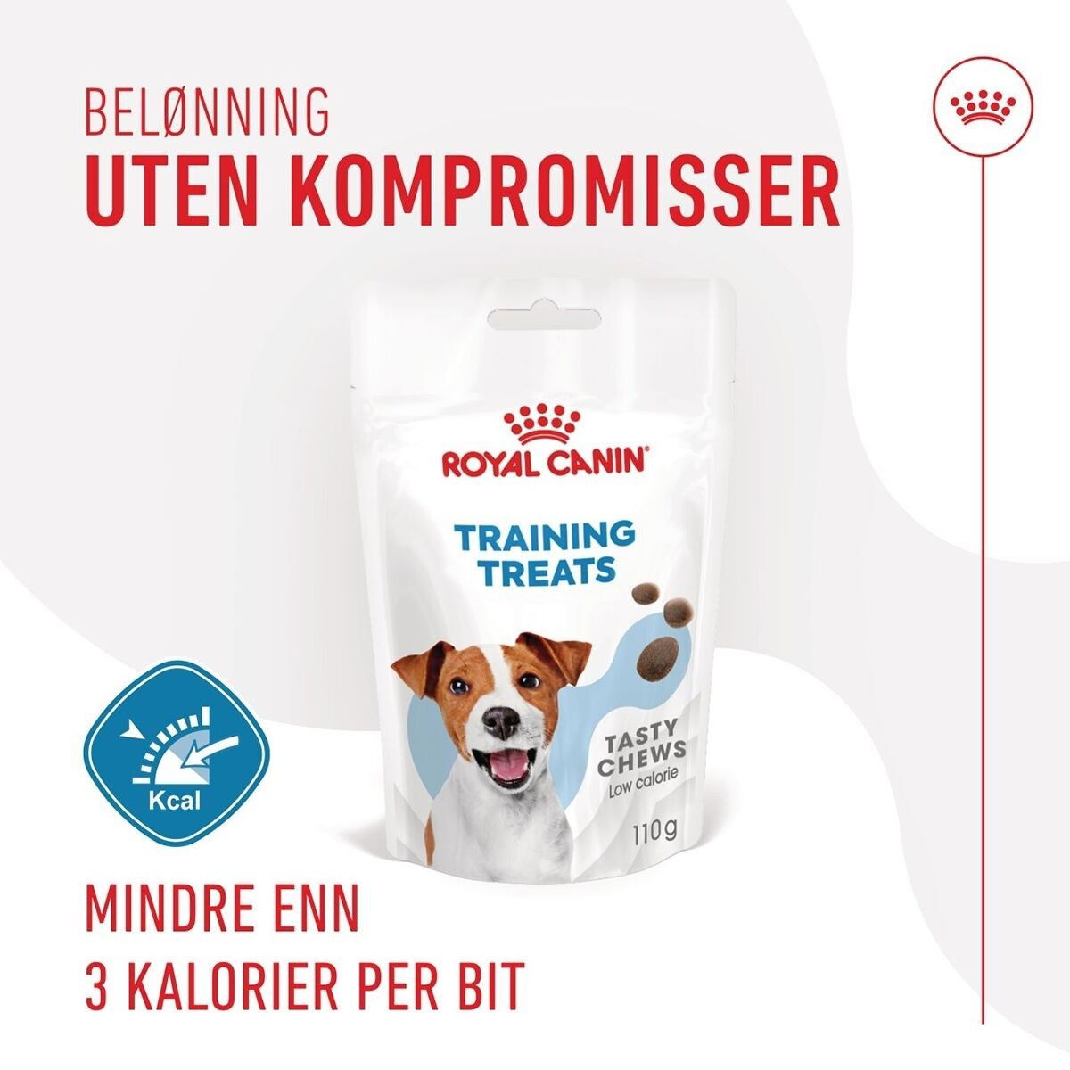 Royal Canin Dog Training Treats 110g
