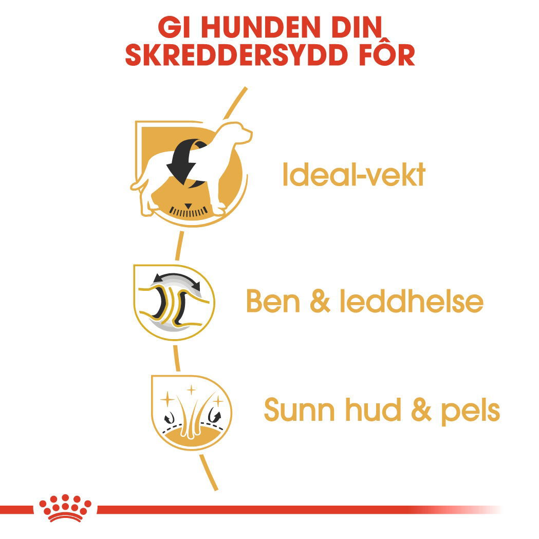 Royal Canin Labrador Retriever Adult tørrfôr til hund