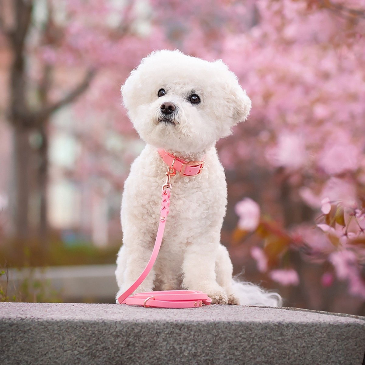 Tyylivoitto Classy narrow collar, light pink