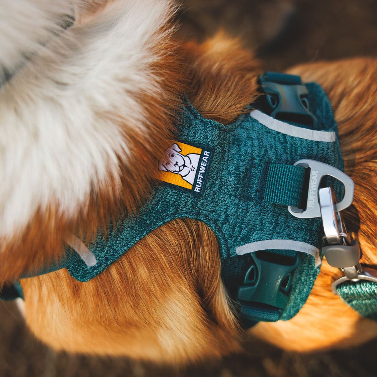 Ruffwear Front Range Flex Harness, Deep Teal