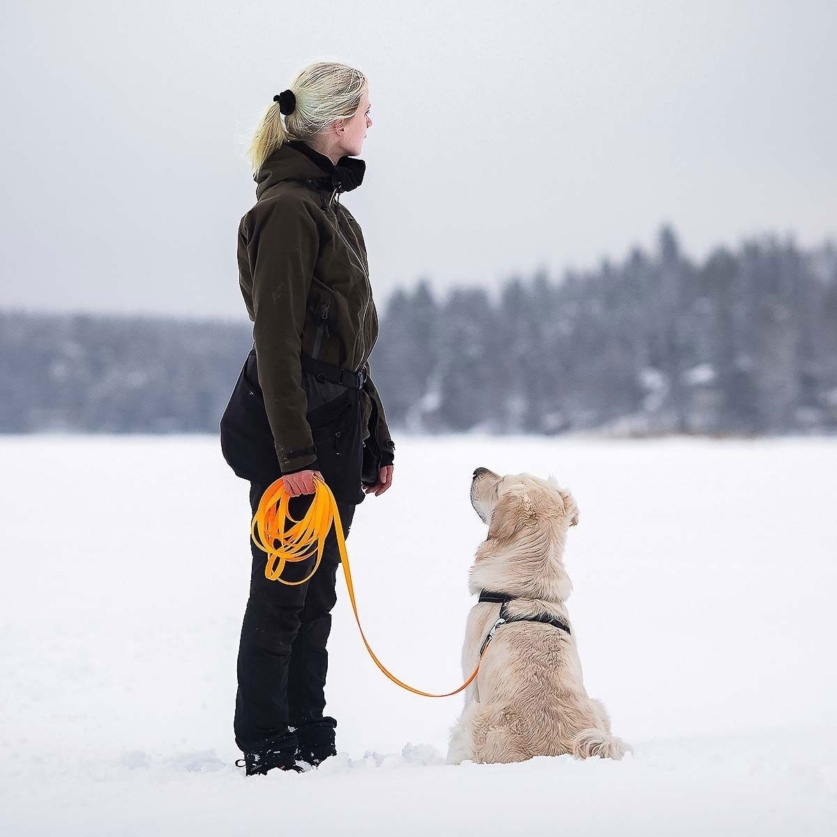 Tyylivoitto Working training leash 6m, orange
