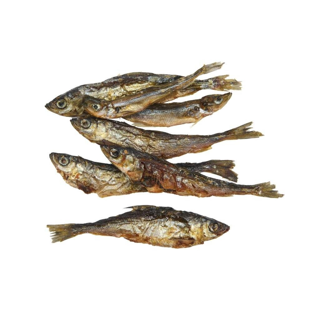 SMAAK Vendace-Smelt treat for dogs 50g