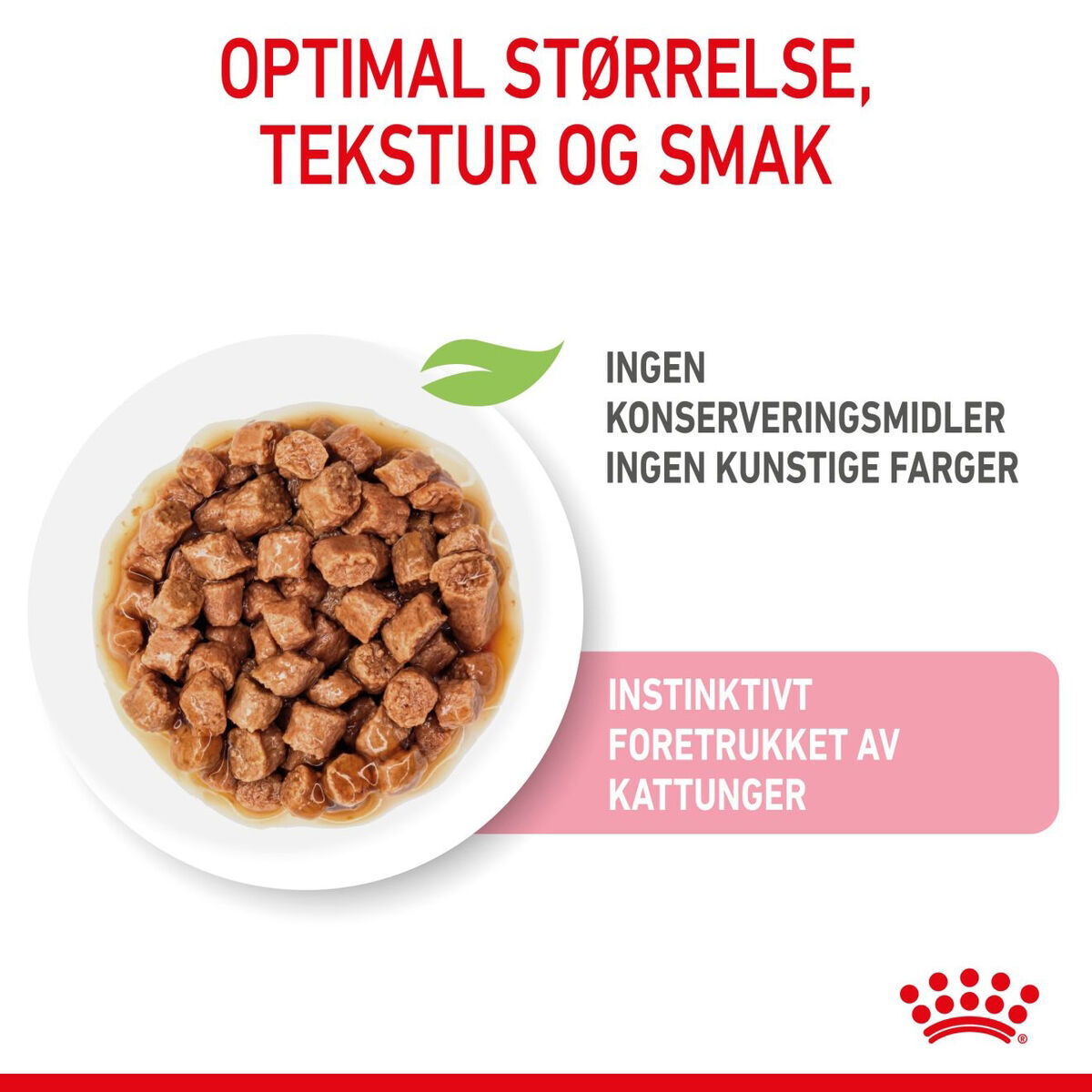 Royal Canin Kitten Gravy våtfôr til kattunge