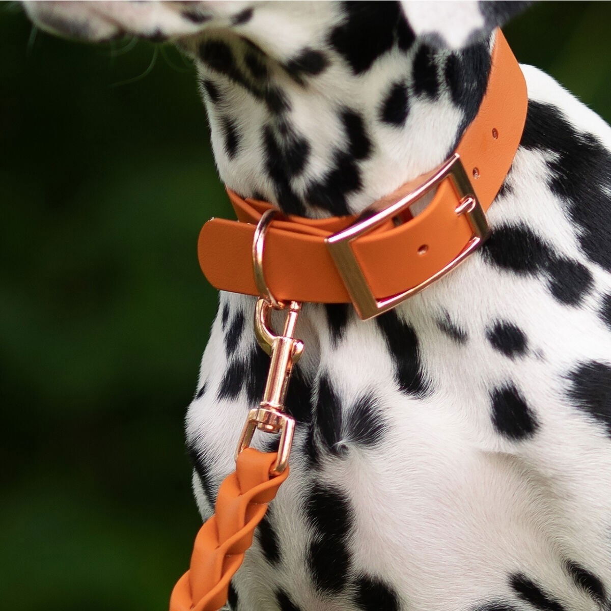 Tyylivoitto Classy collar, burnt orange