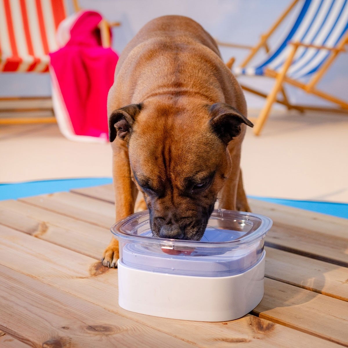 Little&Bigger Non-splash drinking bowl pale blue