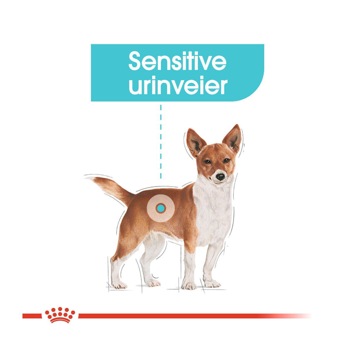 Royal Canin Urinary Care Mini Adult tørrfôr til hund