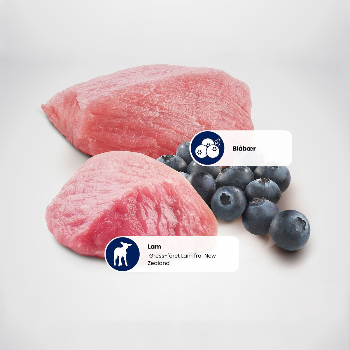 N&D Prime Dog Lamb&Blueberry M/L 12kg