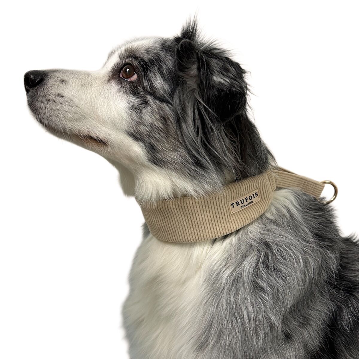 Trufois Wide Collar Latte Beige