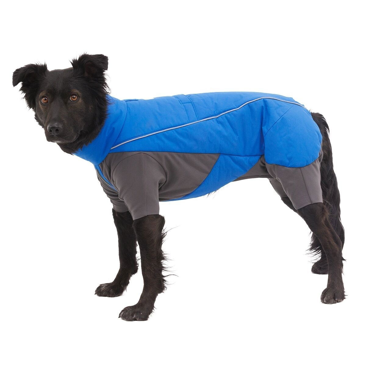 Ruffwear Vert Coverall Blue Pool