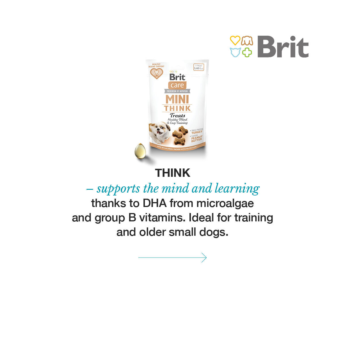 Brit Care Dog Mini treats THINK 50 g