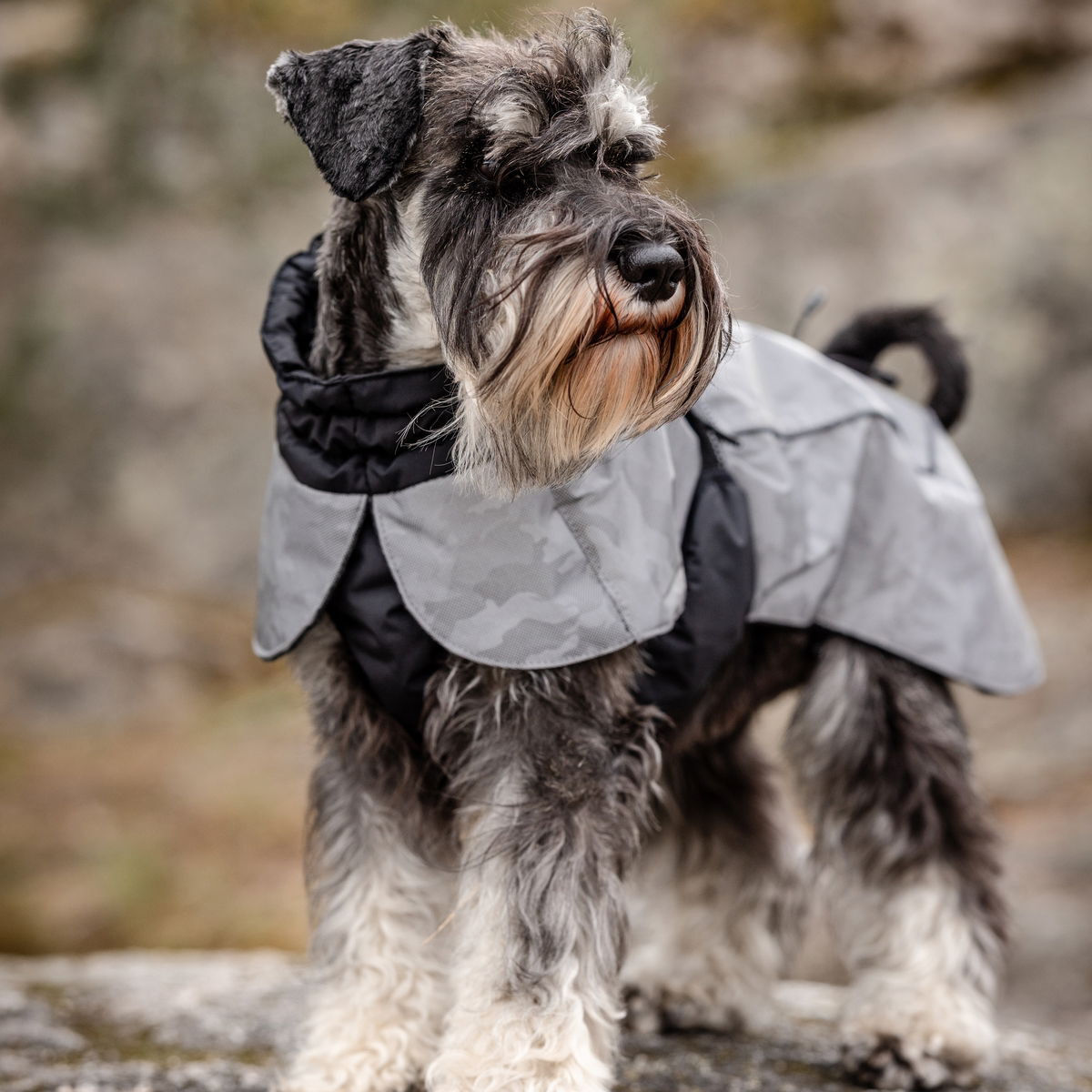 Feel Active Reflective Print Parka