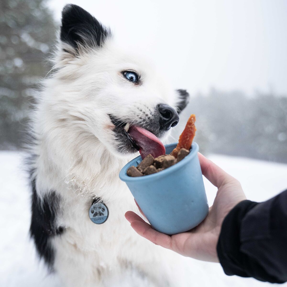 Fiboo Snack Toy Blue