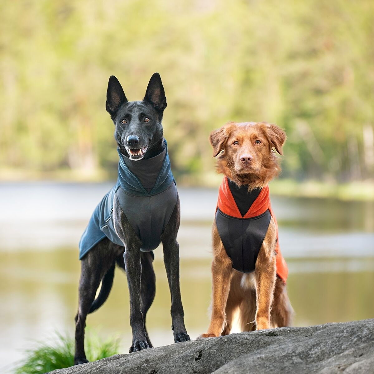 JumppaPomppa Midnight