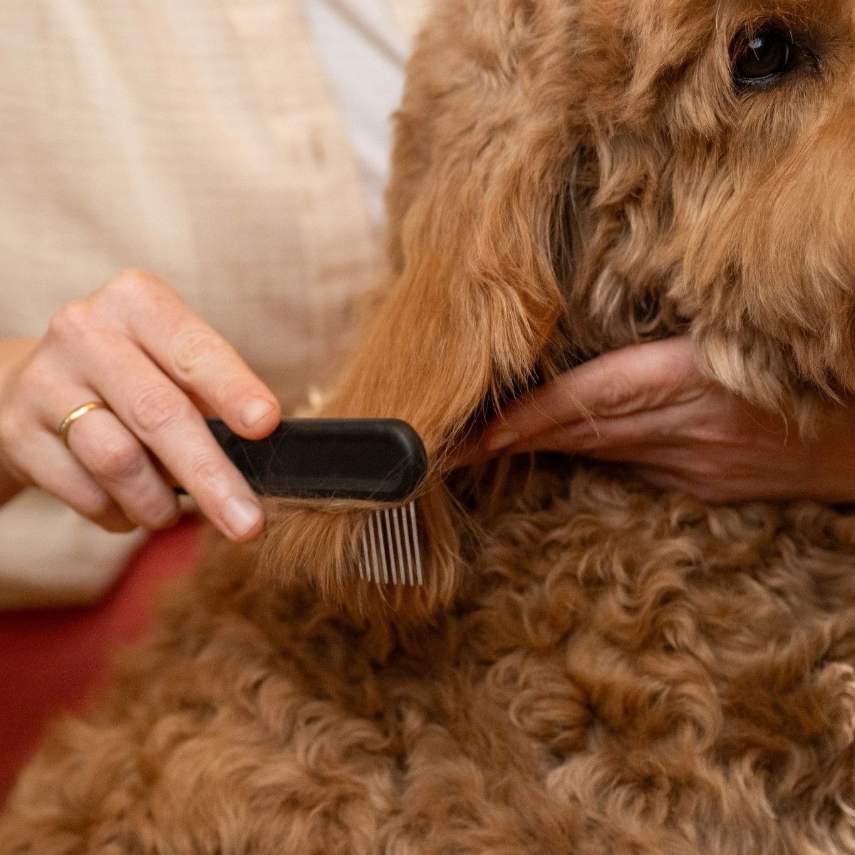 Fiskars wide toothed comb