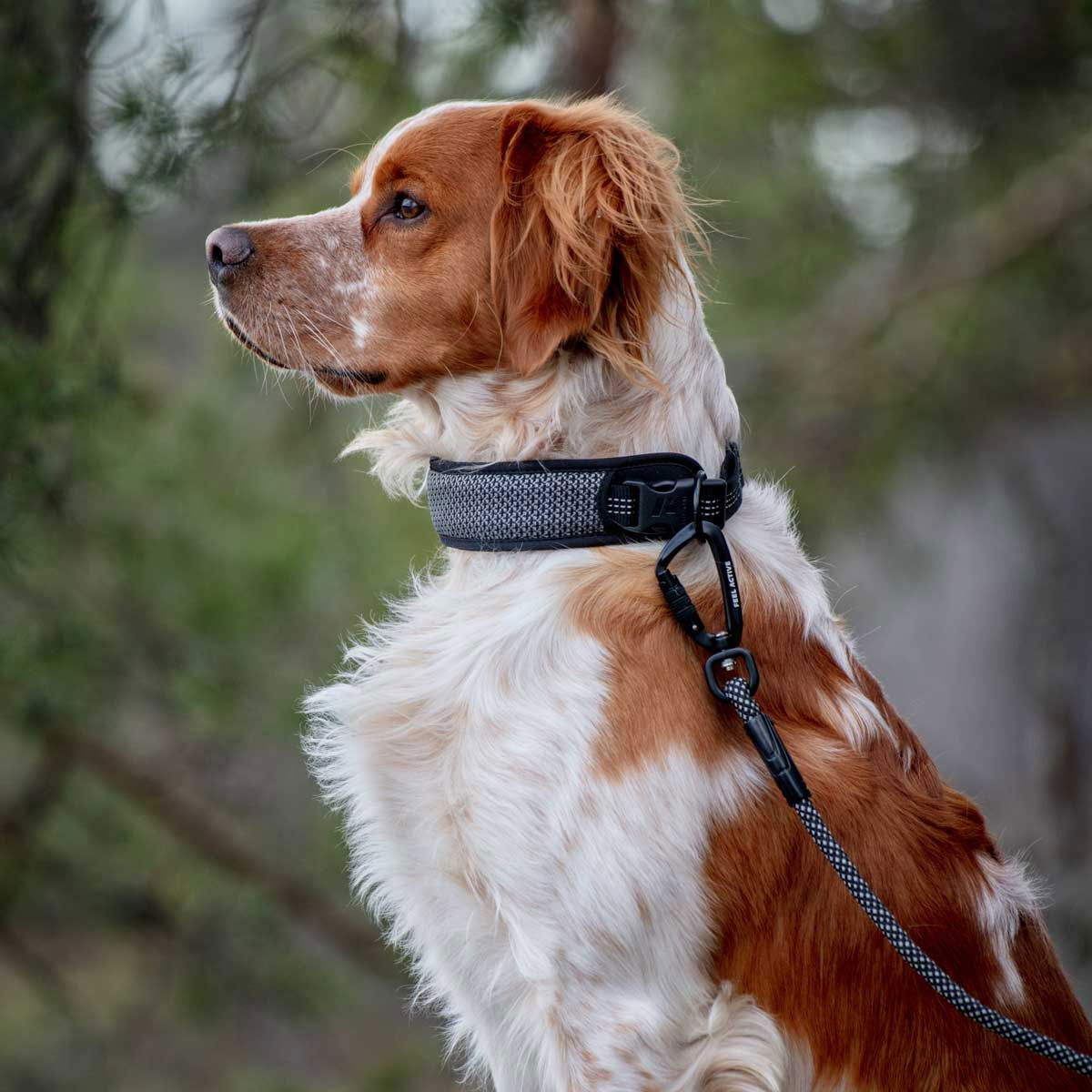 NOT IN USE Feel Active Rope leash with neoprene handle and carabiner lock Red/Rose 11mm