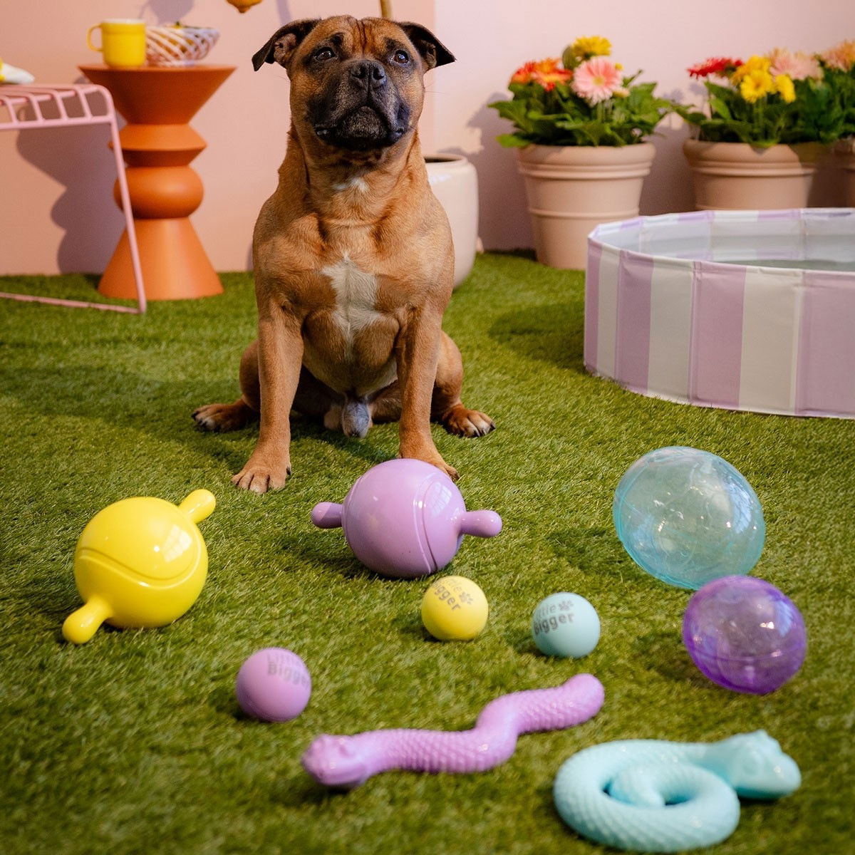 Little&Bigger Hot Summer Bouncy rubber ball 6 cm