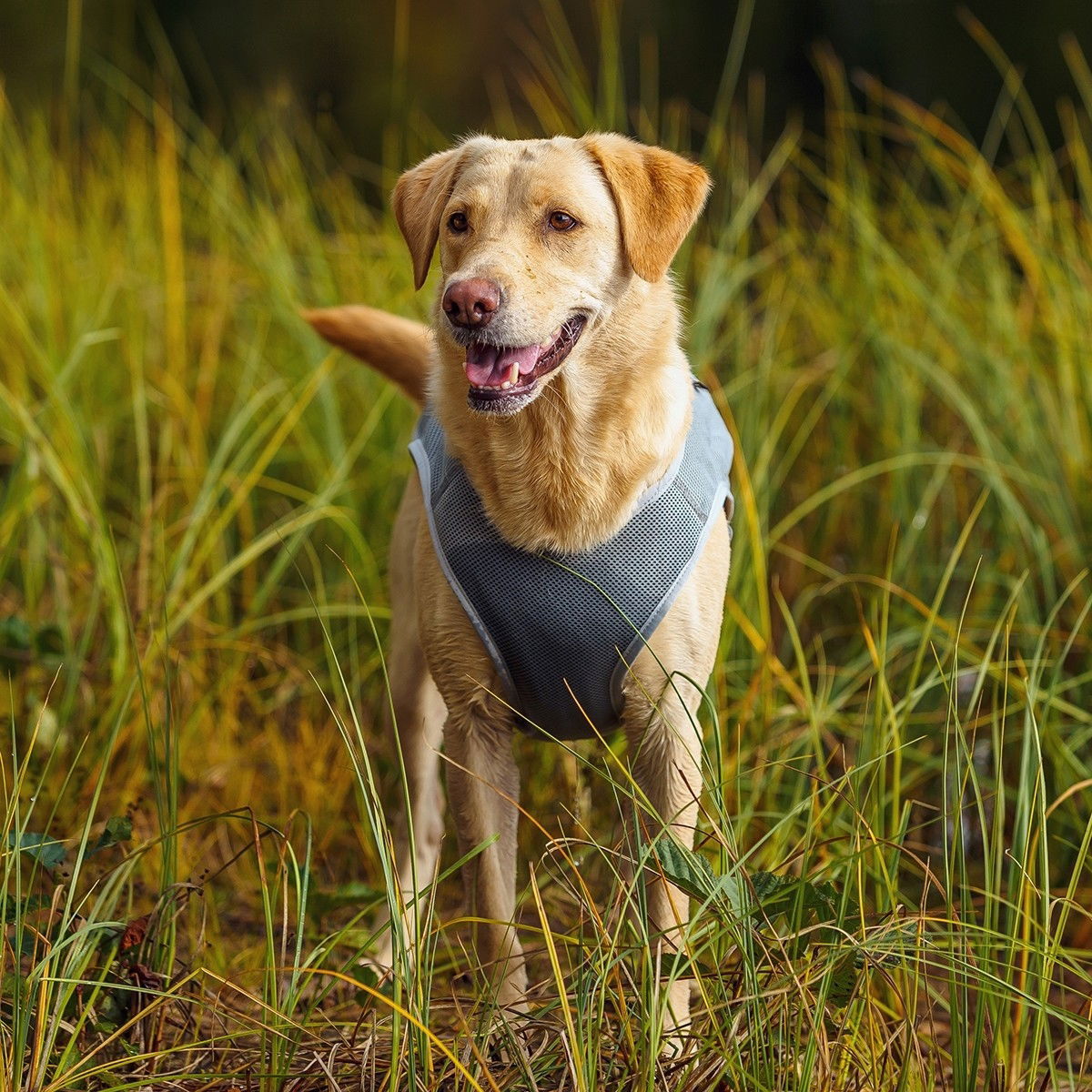 Rukka Cooling Vest Grey