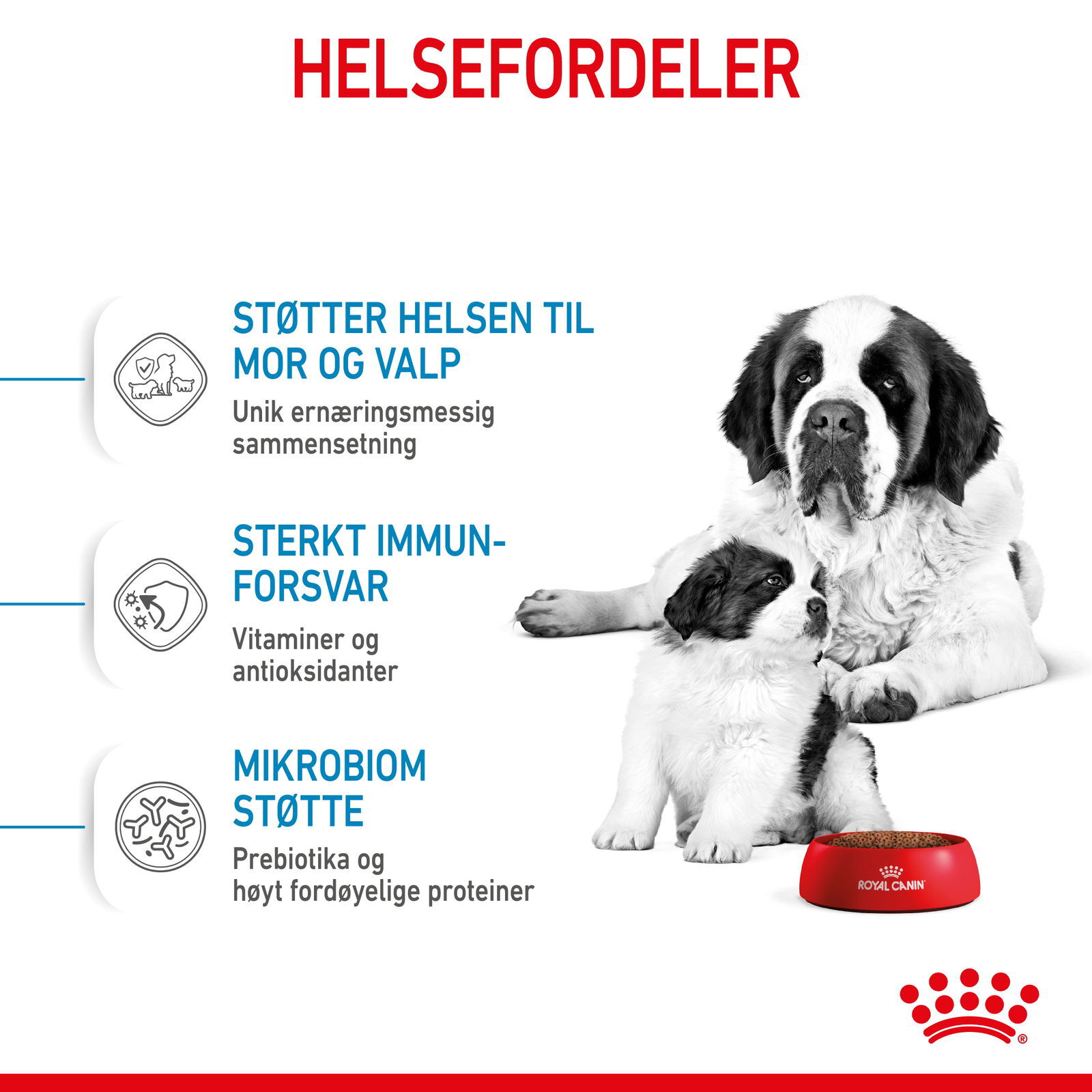 Royal Canin Giant Starter