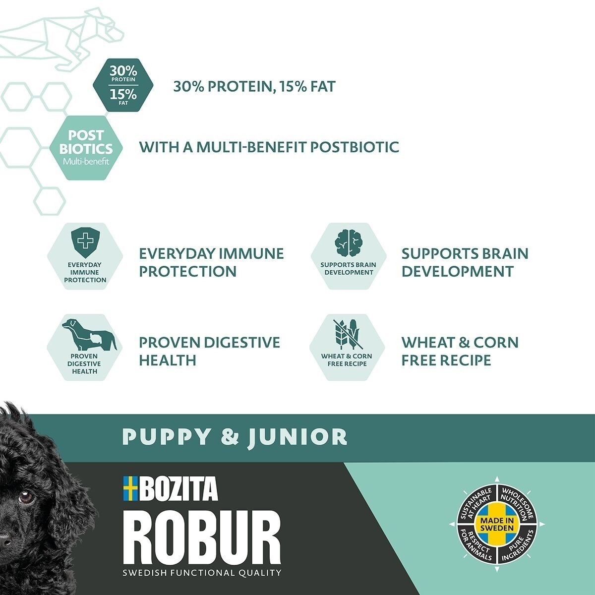 Robur Puppy & Junior XL 12kg