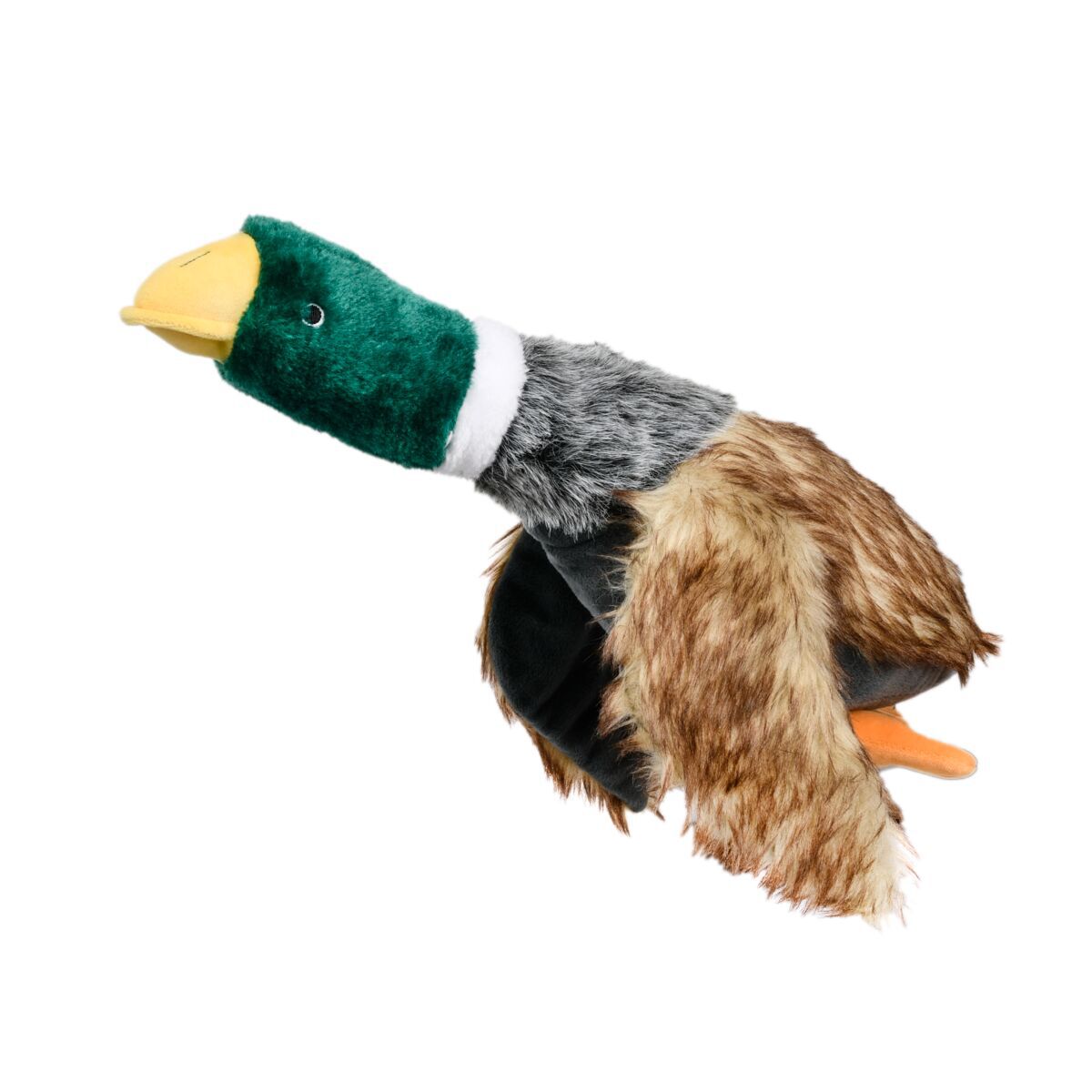 Little&Bigger Bird Flock quacking mallard