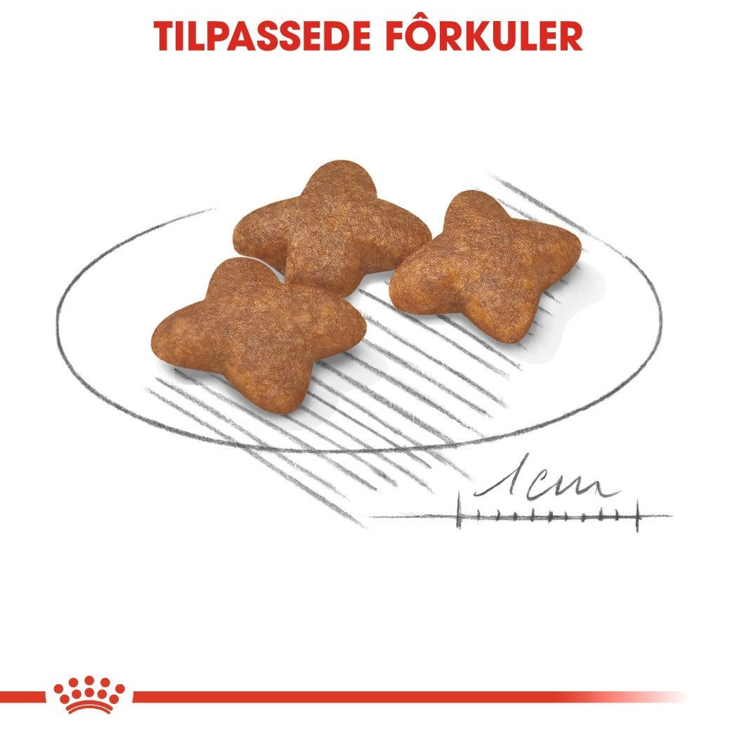 Royal Canin Mini Adult tørrfôr til hund